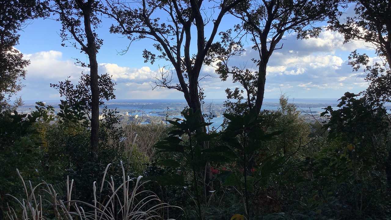 これが横山山頂からの眺め…。
木々に遮られているわけです。