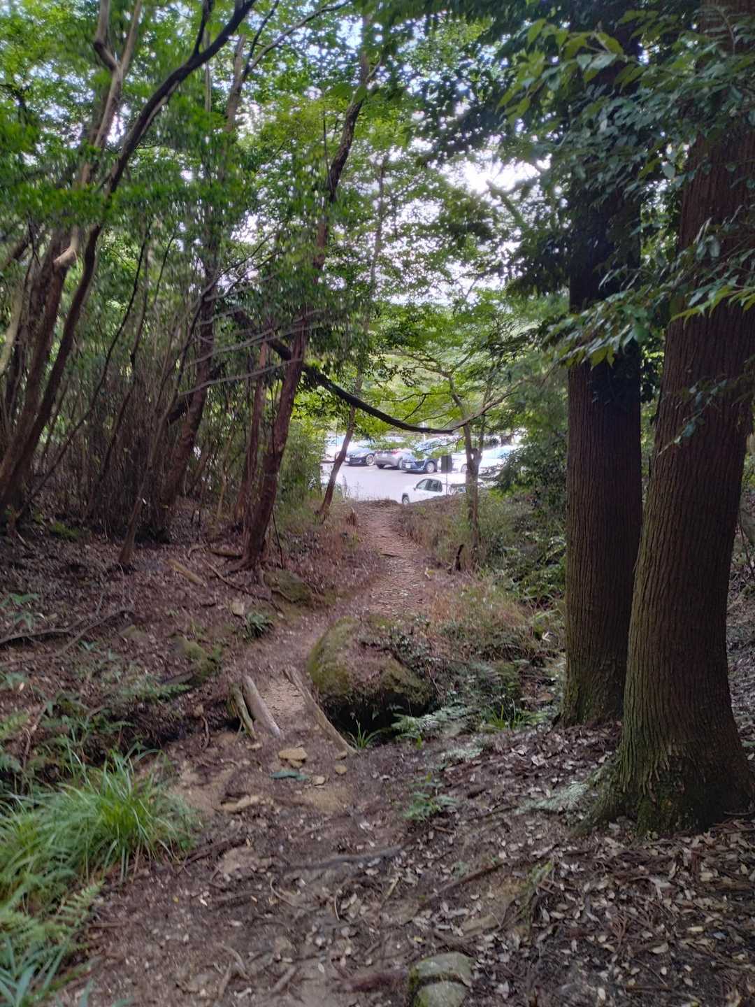 今日も安全登山、ありがとうございます(*˘︶˘*).｡.:*