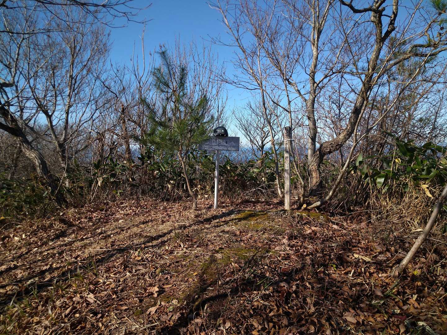 タカツボ山🙌