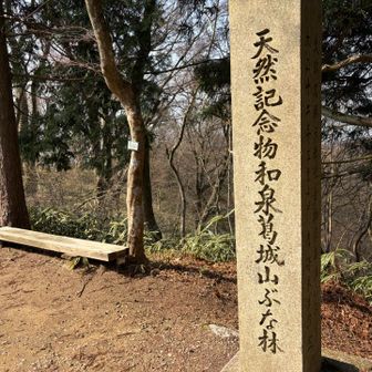 その横に山頂⛰️