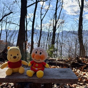 あの山は姥捨山？