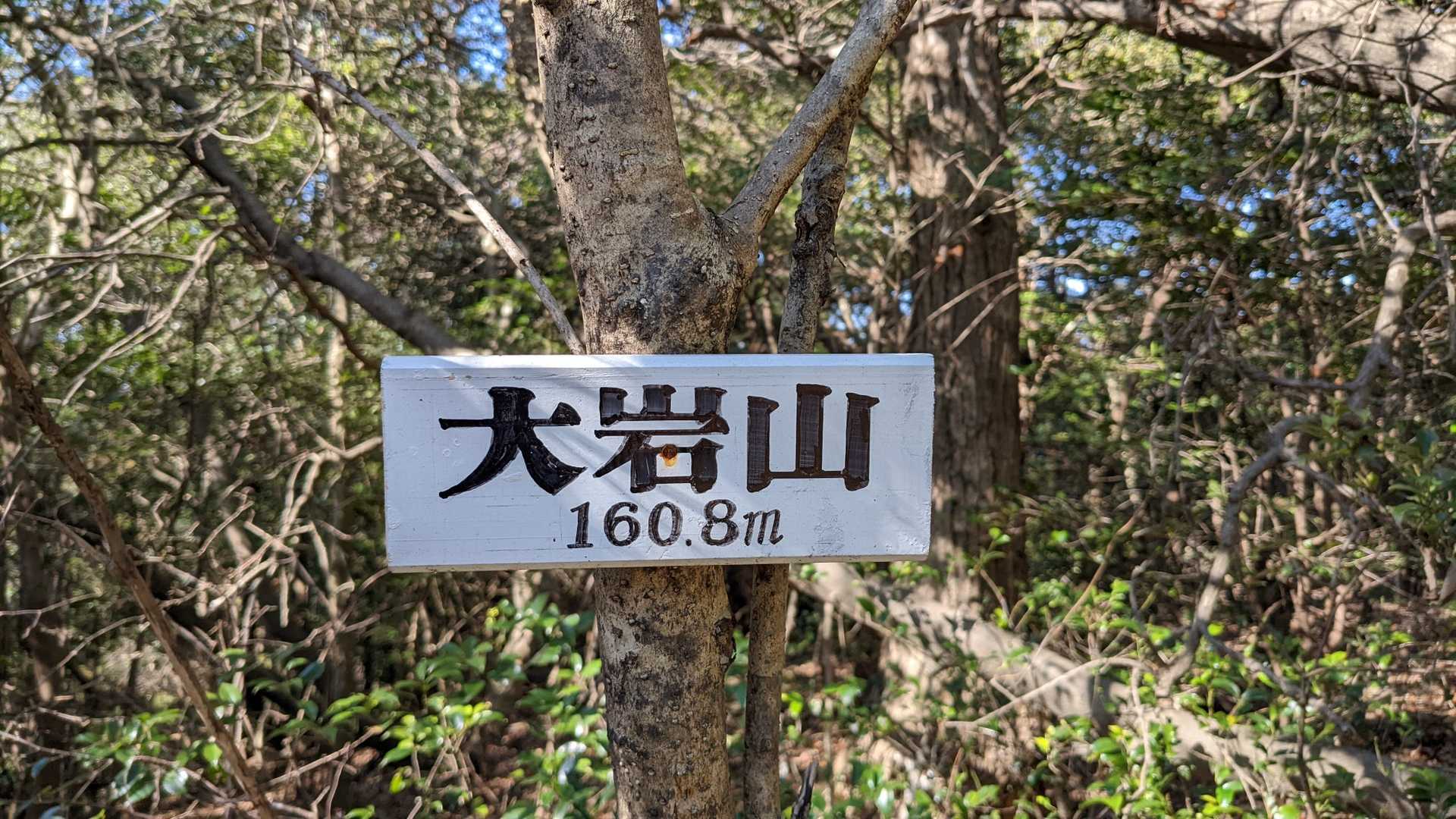 山頂到着！
こちらも道はハッキリしませんでしたが、途中からテープがあリ助かりました😊