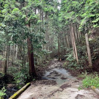 最初は広い道
