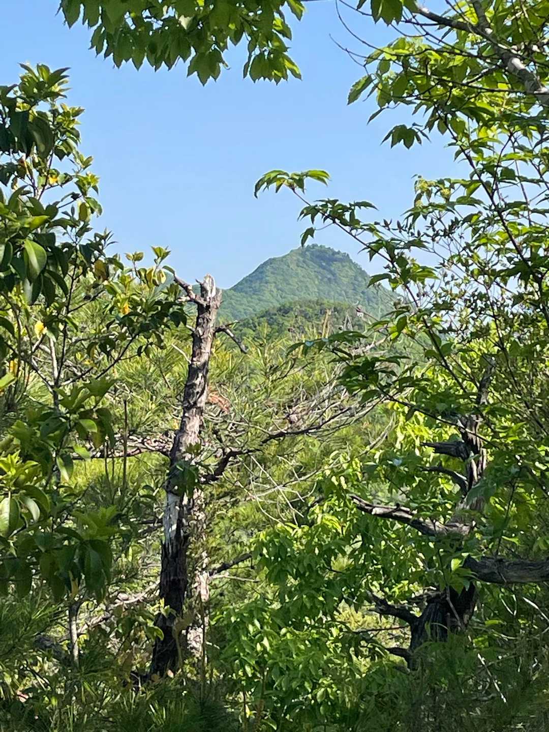 近頃マイブームの😁ロックオン☝️