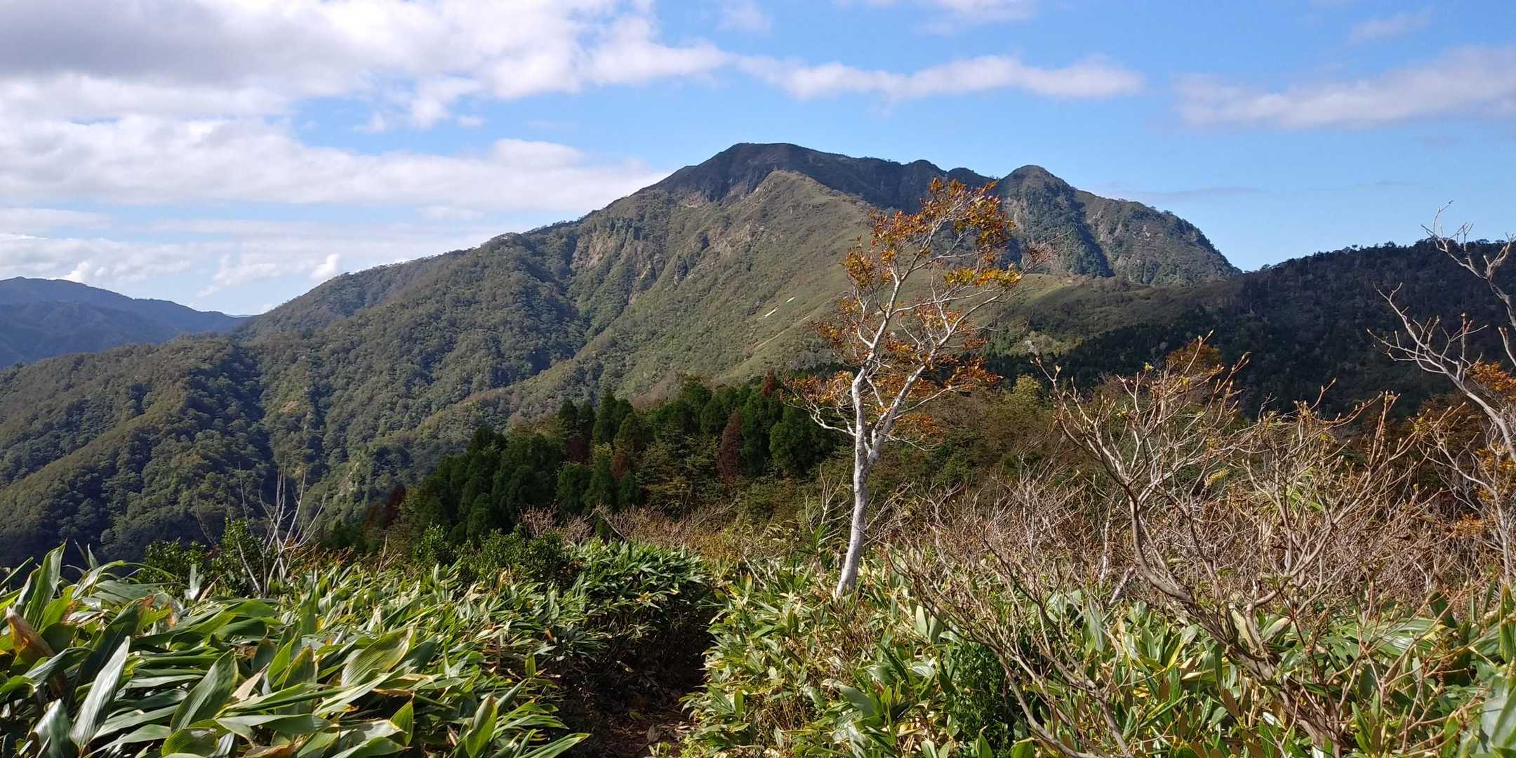 冠山峠-桧尾峠-白倉岳-金草岳 往復コースの写真