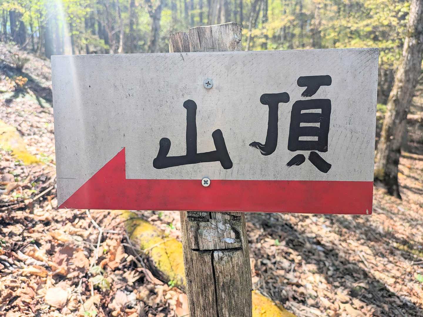 執拗に現れる「山頂」はあっちです⇦の標識
整備されていて迷わないし、滑落の危険ゼロのような気がします
とても親切で安全な登山道です