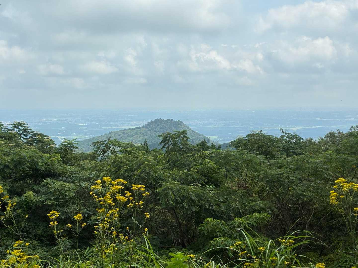 あたご天狗の森登山口-南山 往復コースの写真