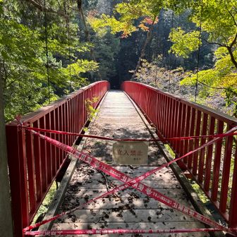吊り橋🌉立ち入り禁止でした😅