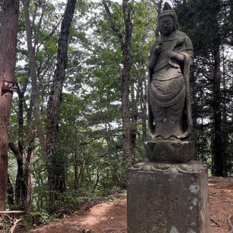 ⑤中沢山