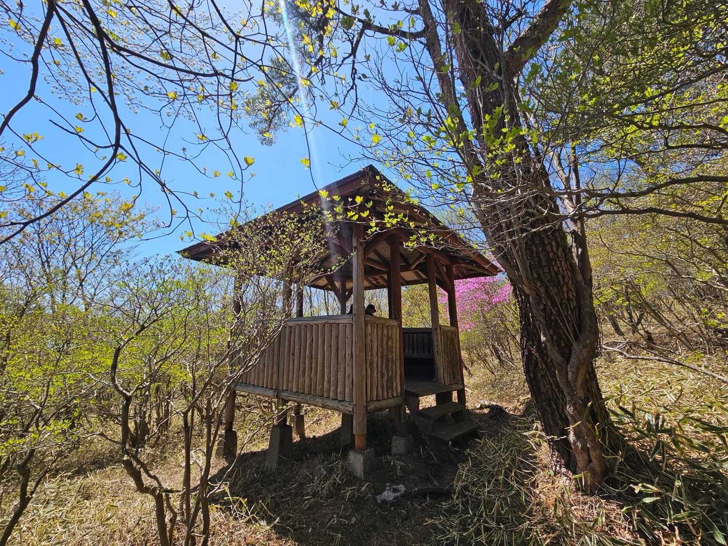 四阿小屋あり
ゆるゆる降り基調のハイキングコースで駐車場へ