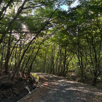 空が晴れていて山もいいかと思ったのに😅