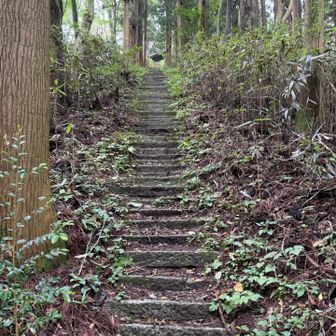 最後頂上への階段