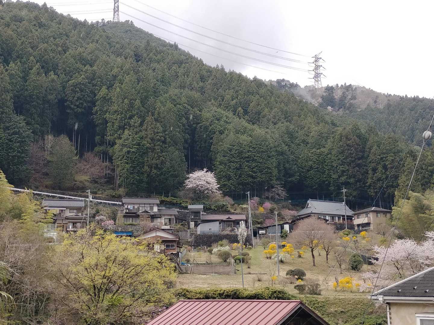 大丹波川沿い歩き
(自分的には奥多摩集落の舗装路歩きも好き✎ꪑ)