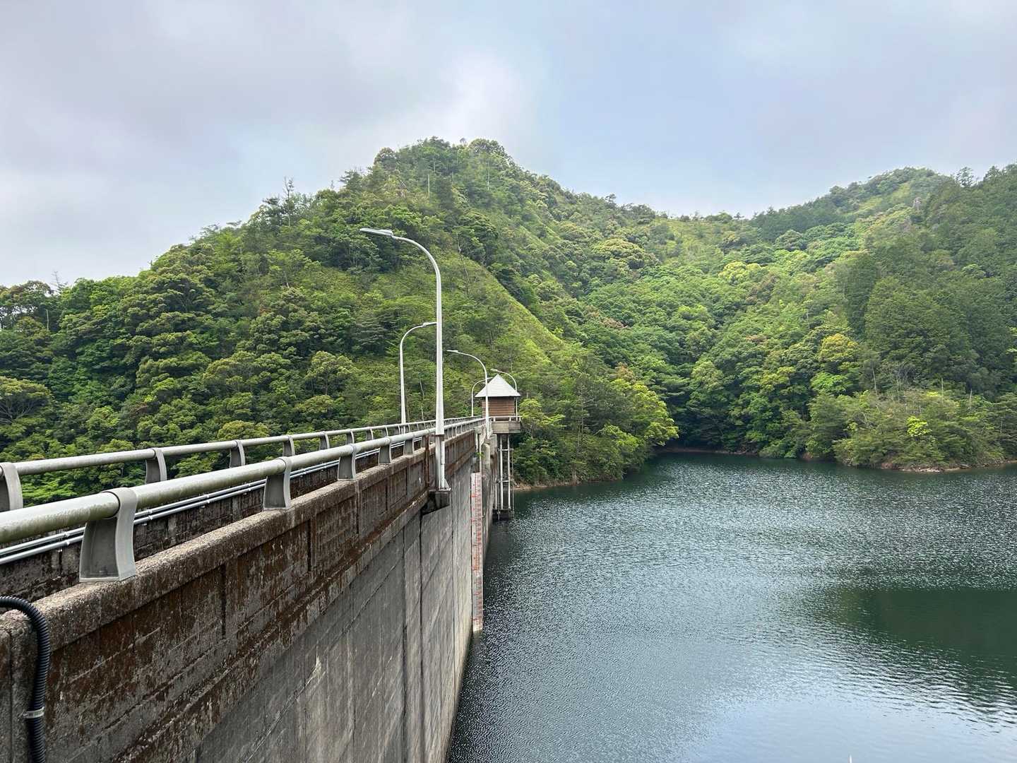 英山 往復コースの写真