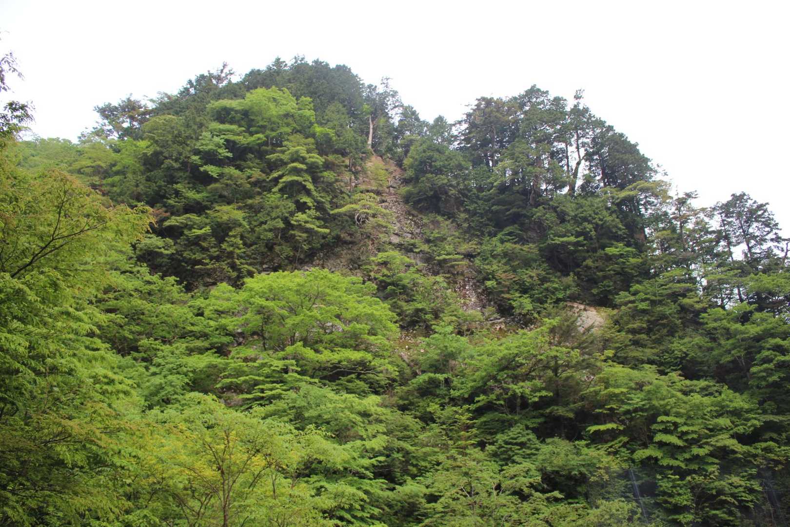 鉄山-修覆山-弥山-聖宝ノ宿跡-弁天ノ森-弥山登山口 周回コースの写真