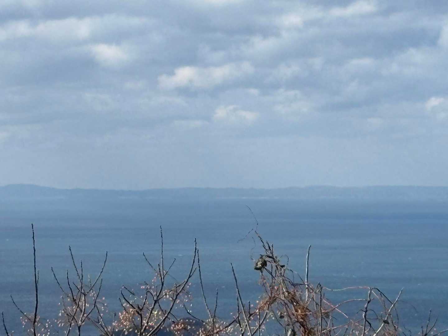 壱岐島が間近にみえました。
それもそのはず、博多港から高速船で1時間で着きます。