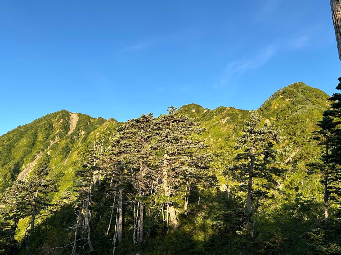 霞沢岳(左)と霞沢岳K1ピーク(右)⛰️