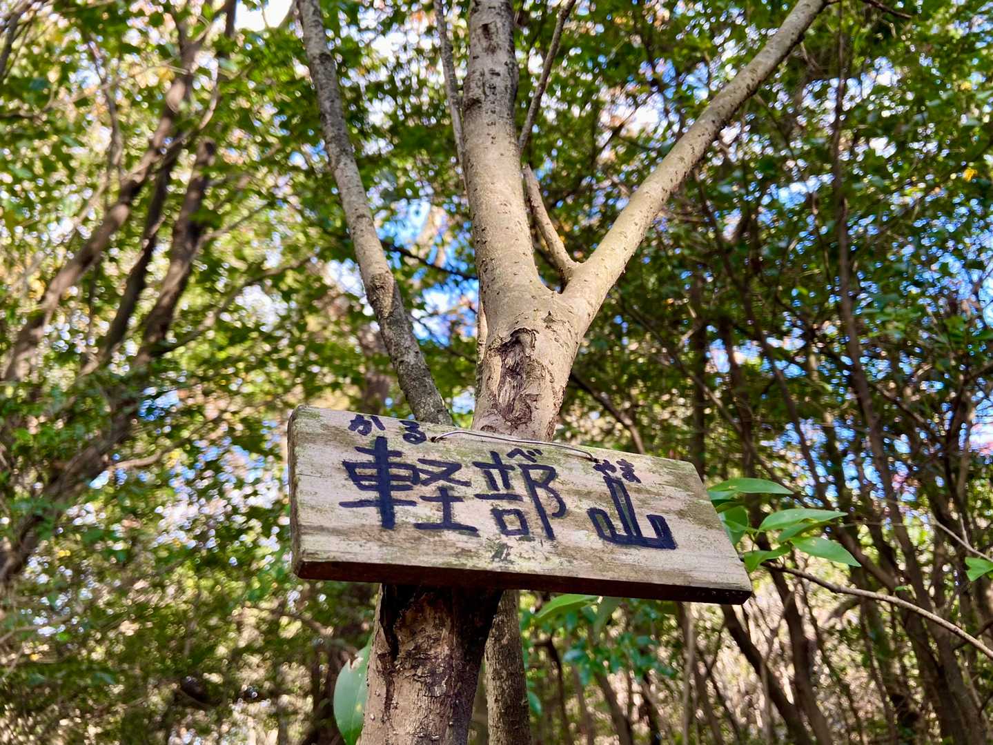 手書きの標識
ここは標識あって良かった😌
