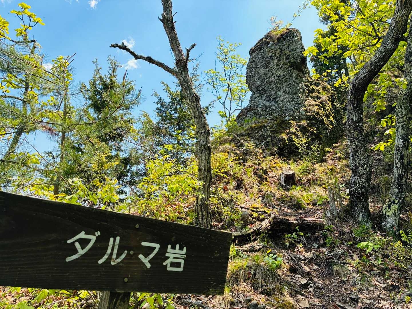 何でダルマ岩なんだろう…ダルマに似ているのか🤔