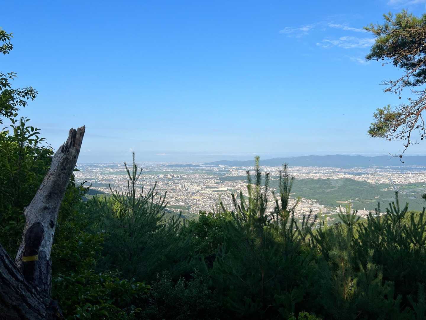 横嶺峠-高塚山 周回コースの写真