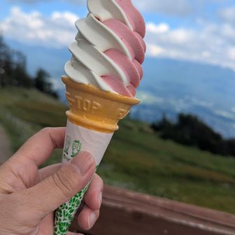 シメはルバーブミックス🍦
