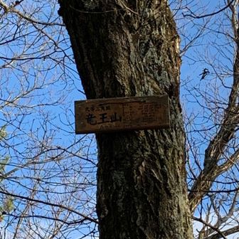 こんな所に、山名板があります
こんな高い所に、どうやって付けたのでしょうね
もっと低い所でもの良いのにな