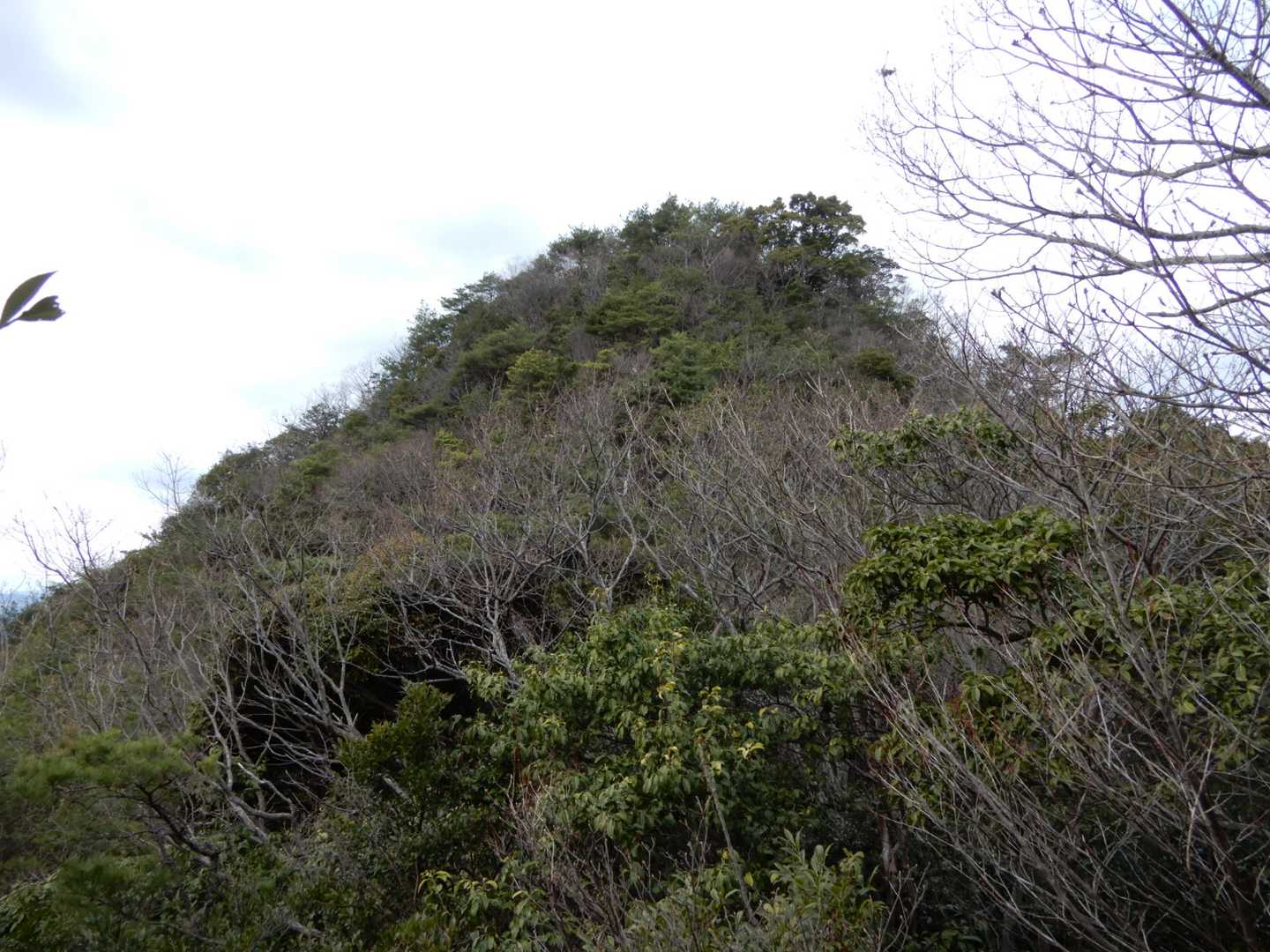 山頂直下の急坂を登ると