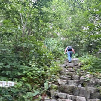 砂防新道は上り専用の、この石段が最初の関門😅