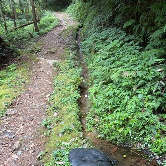 久しぶりの城ケ平山ですが、いつもの沢に水が少ない😢