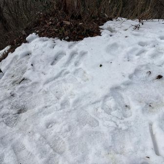 お片付けよ〜し