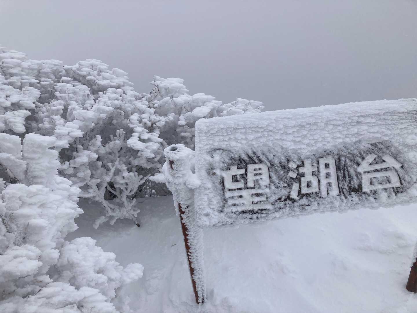 望湖台
なーんも見えん、まっちろけ