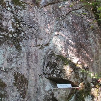 何処かが十字なクラックと見たんだろう。
十文字岩