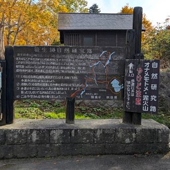 温泉の奥の「自然研究路」も歩いてみます。