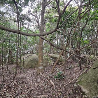 どうやら中央の岩全体が山頂っぽい。
もう…下山します。