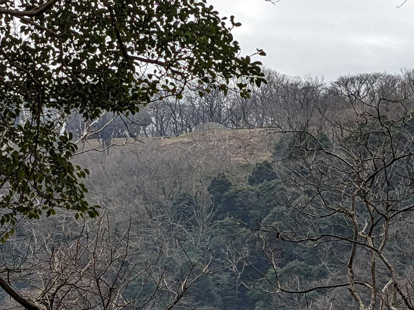 展望台を見上げます