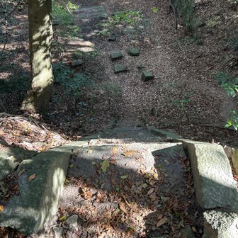 分かりますか？
上から見た石段！
急過ぎて水平部分が見えない😱
ここは怖いので下りなかった。