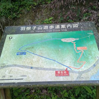 ちょっとした岩場があった程度の、歩きやすいコースでした😊