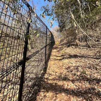フェンス沿にくだっていきます