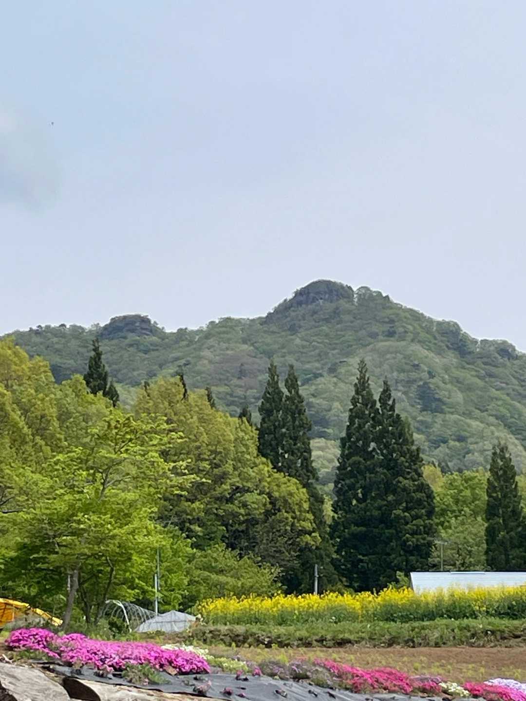 着きました