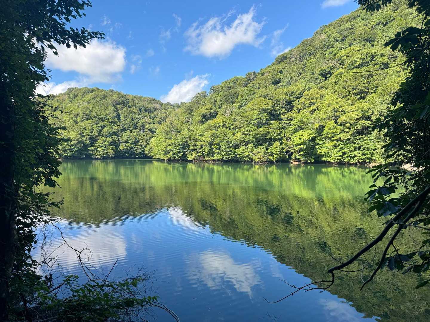 散策路に入ると左手🫲に鶏頭場の池（けとばのいけ）
散策路からは木々に遮られて、🌲隙間から見える景色を📷✨
リフレクション綺麗🤍