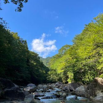 ここ徒渉、、水量があるしハマりたくないから