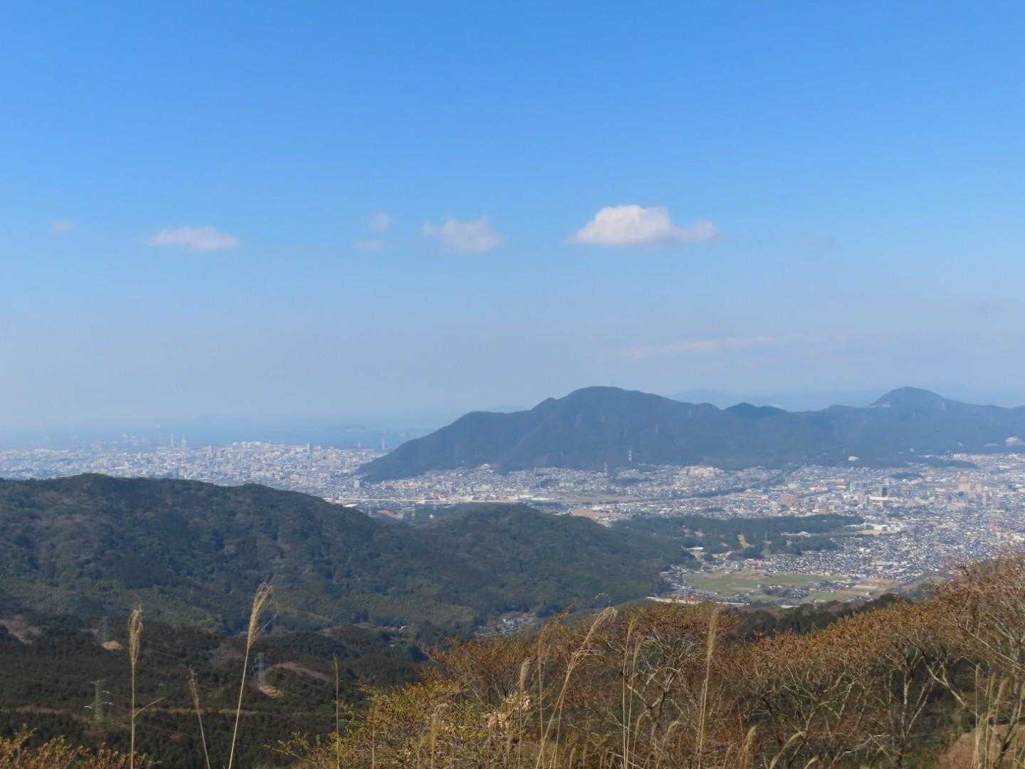 で、こっちが小倉