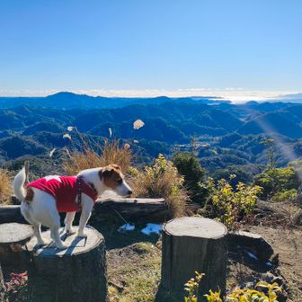 ２回目の大休憩🍩☕この後無事に下山致しました😊