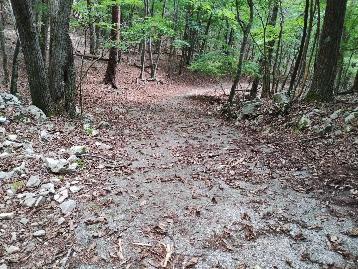 林道を歩いて下山します。
林道はコンクリートで舗装されていました。