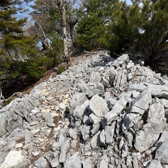 ミニチュア ジャンダルム風 🤭