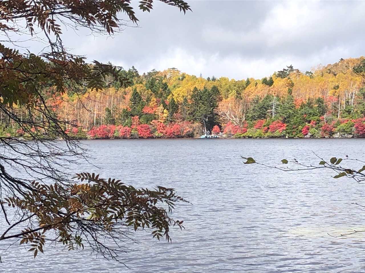 麦草峠-丸山 周回コースの写真