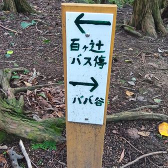 ババ谷分岐