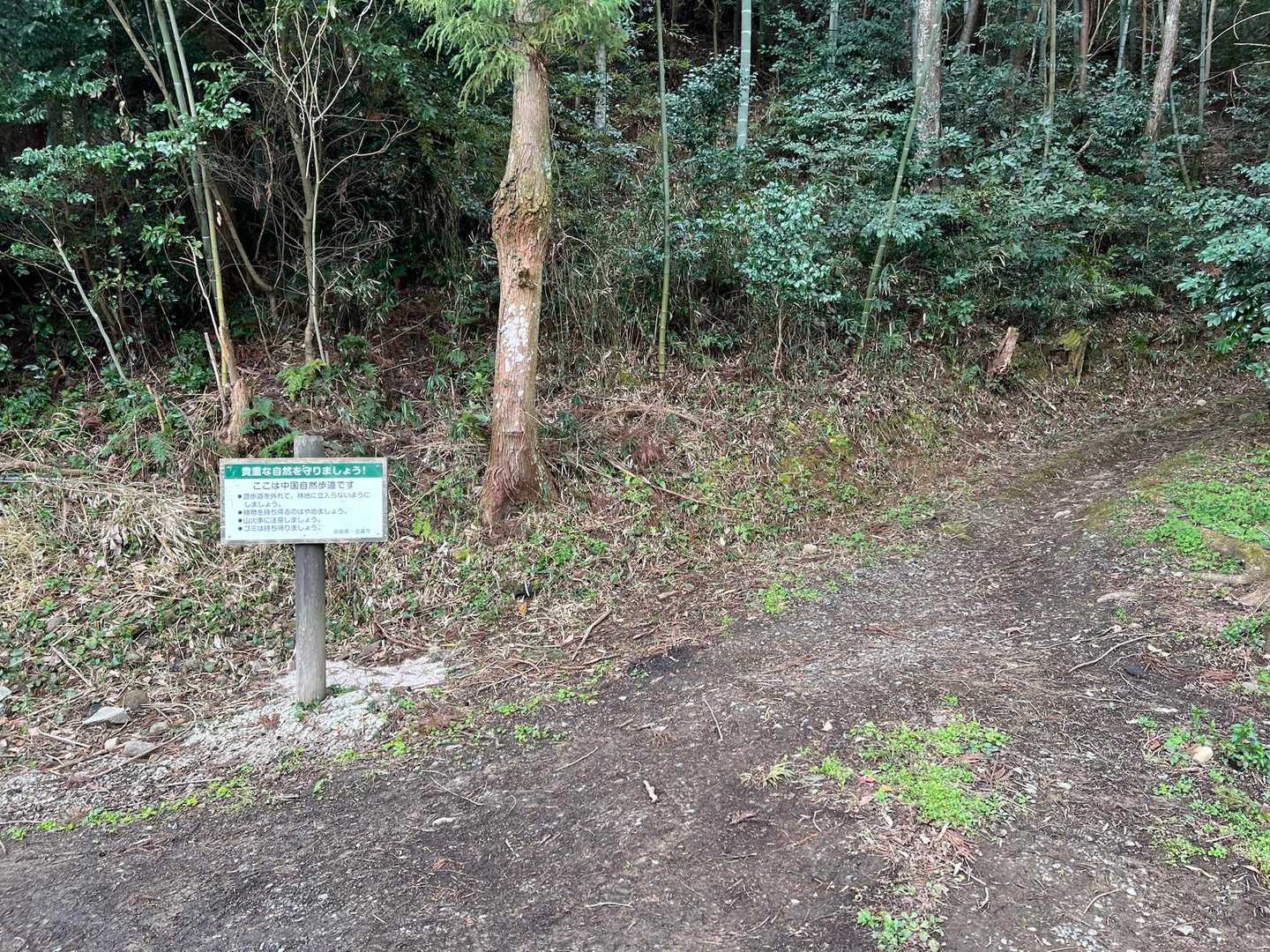 旅伏山登山口-旅伏峰 往復コースの写真