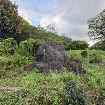 西郷山の山頂らしき場所には標識は見当たりませんでしたが、大きな岩が置かれています🪨