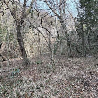 六甲山・長峰山・摩耶山 堰堤上部
